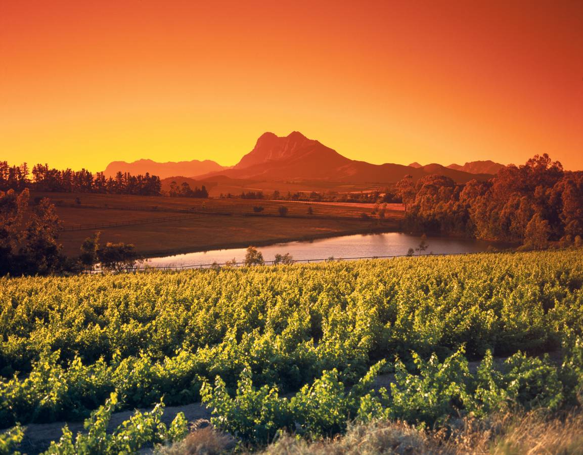 Weingut in Südafrika im Sonnenuntergang